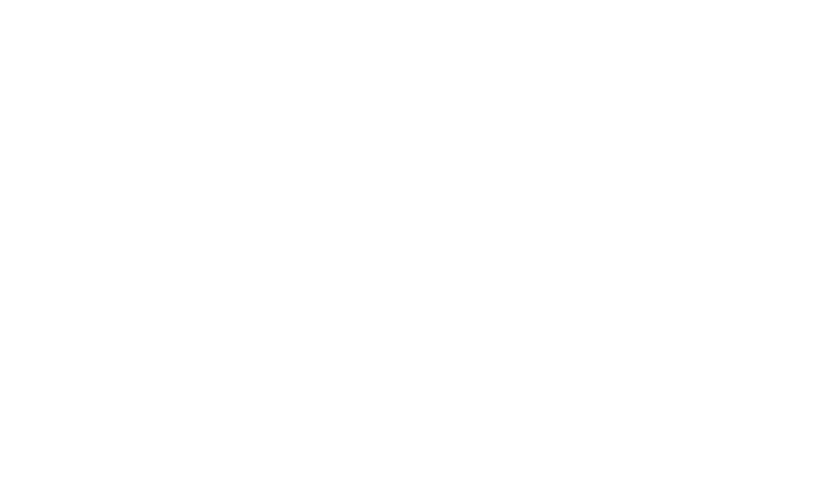 Combat Warriors Logo